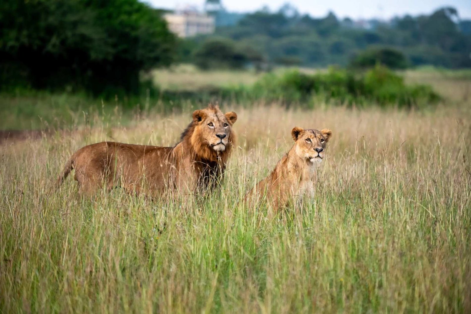 Nairobi, Kenya